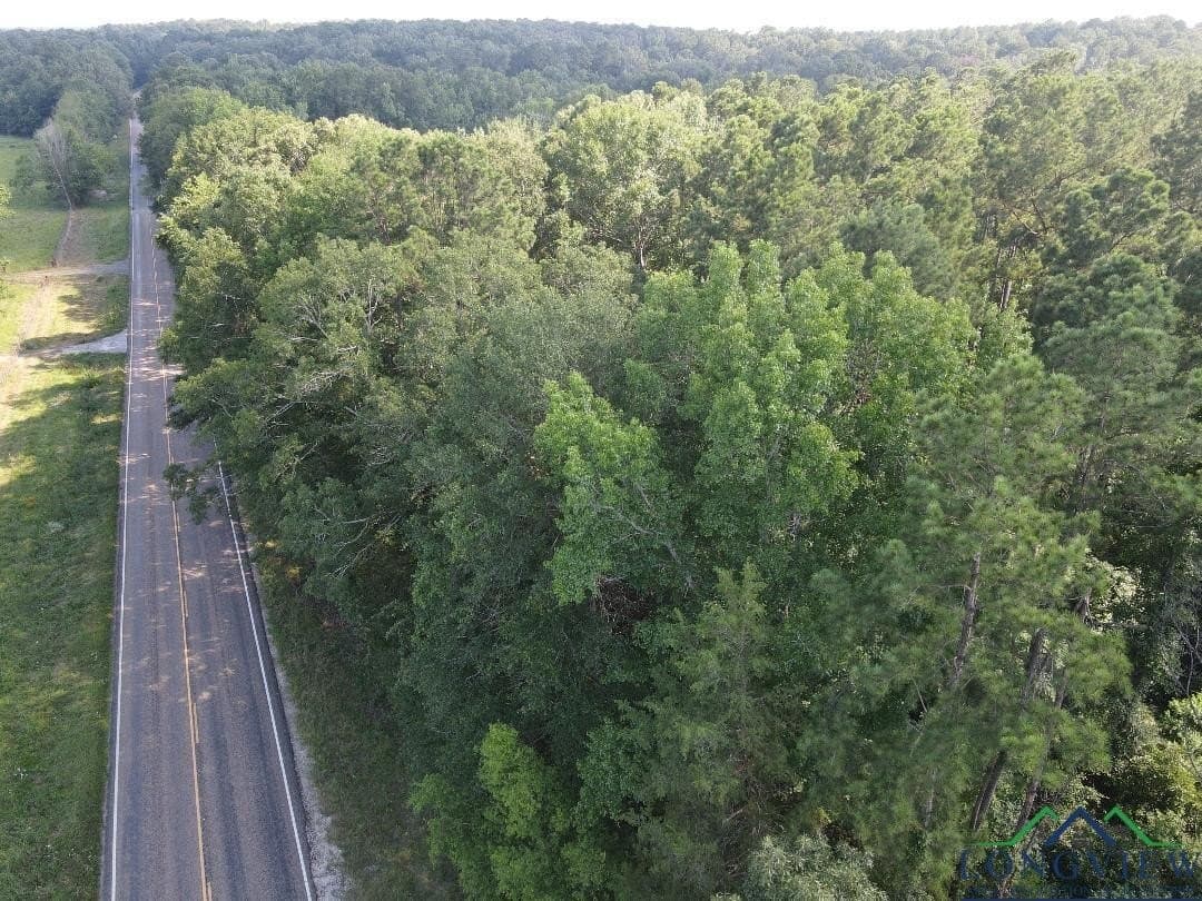 35.97 acres in Panola County - photo 8
