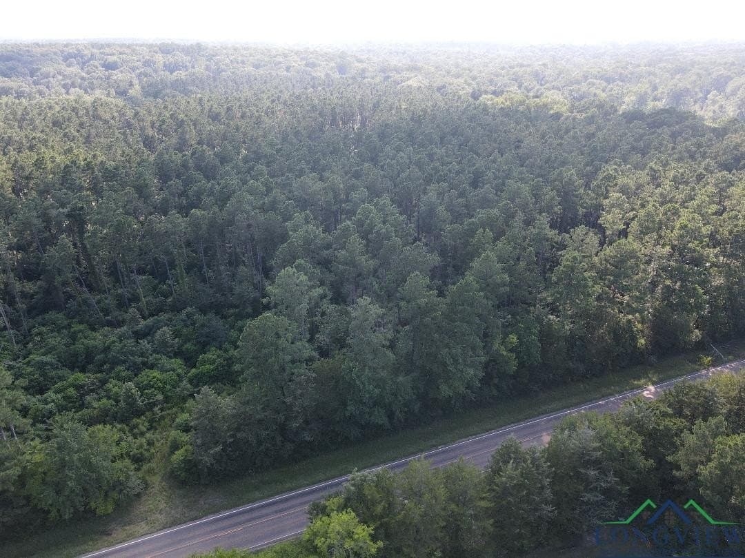 35.97 acres in Panola County - photo 3