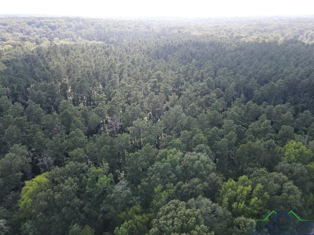 35.97 acres in Panola County - photo 5