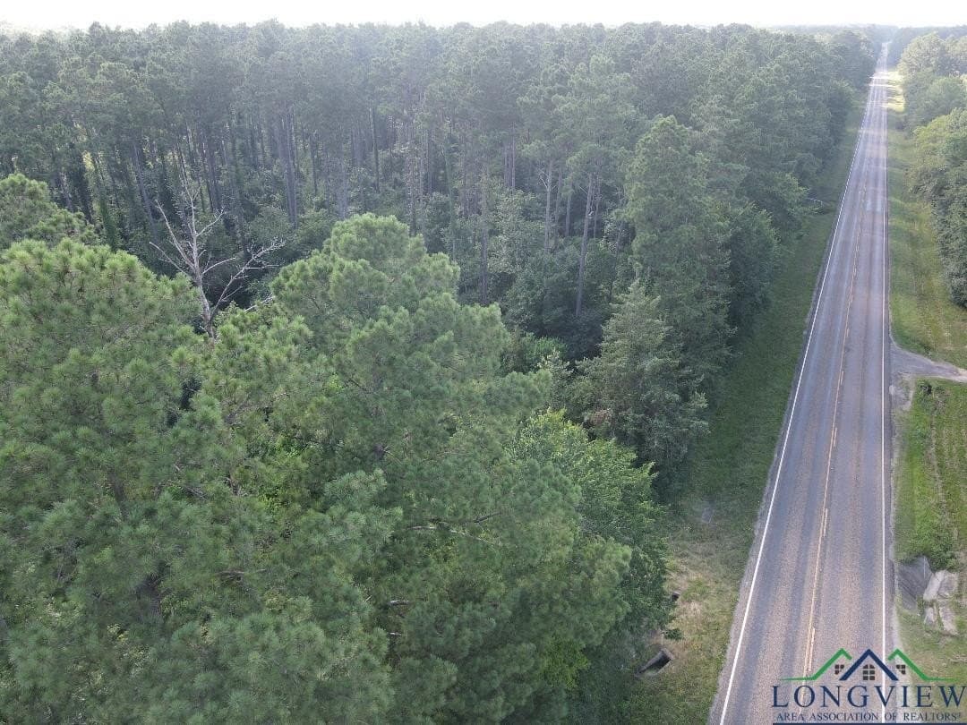 35.97 acres in Panola County - photo 9