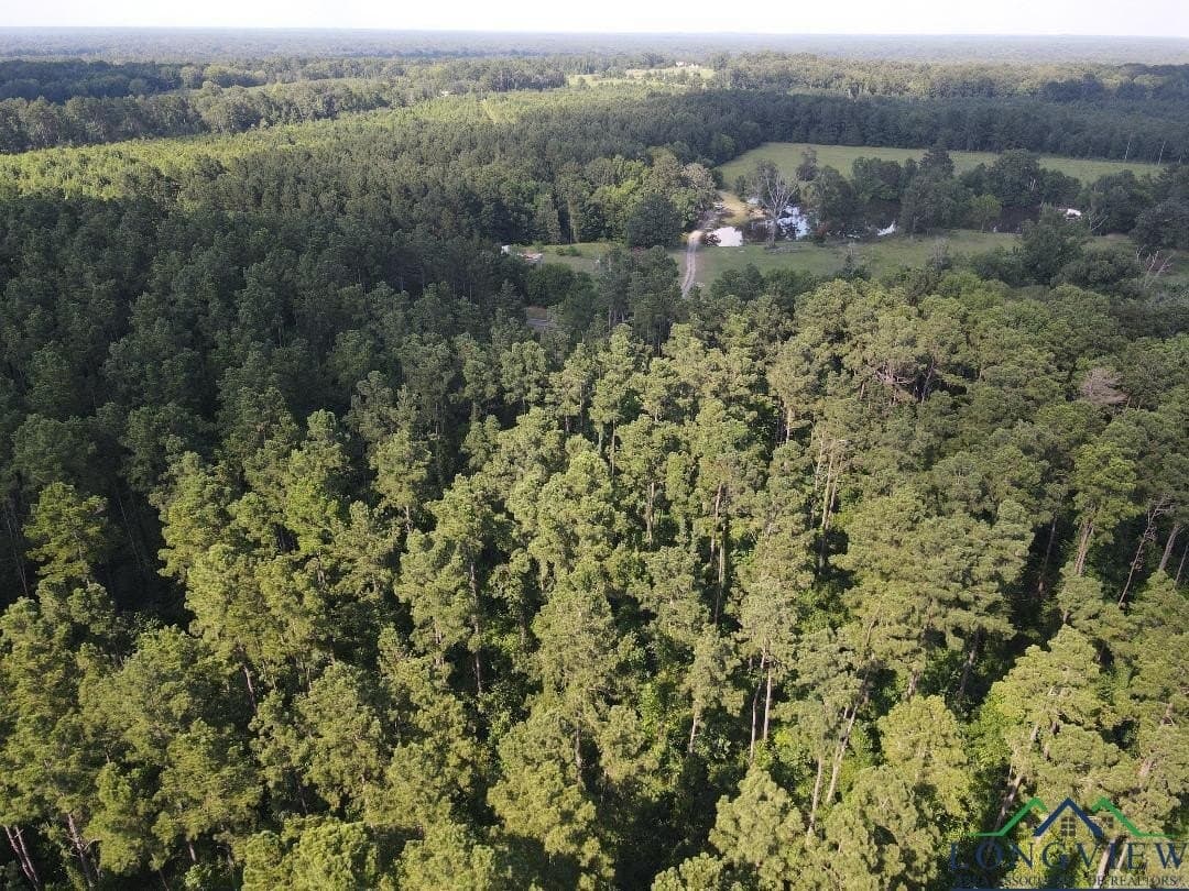 35.97 acres in Panola County - photo 7