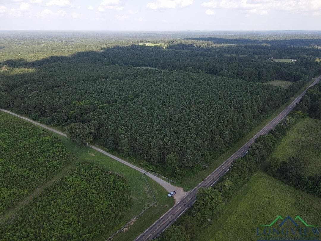 35.97 acres in Panola County - photo 10