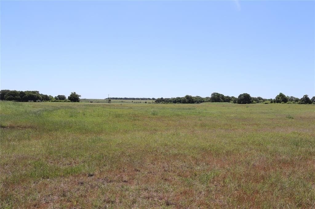 73 acres in Clay County - photo 5