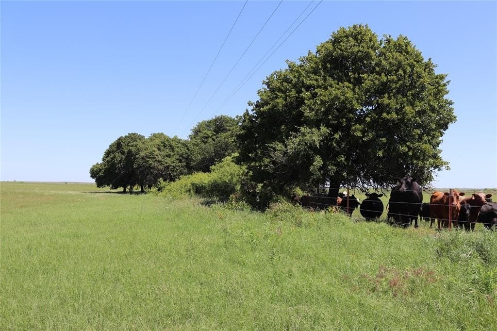 73 acres in Clay County - photo 2