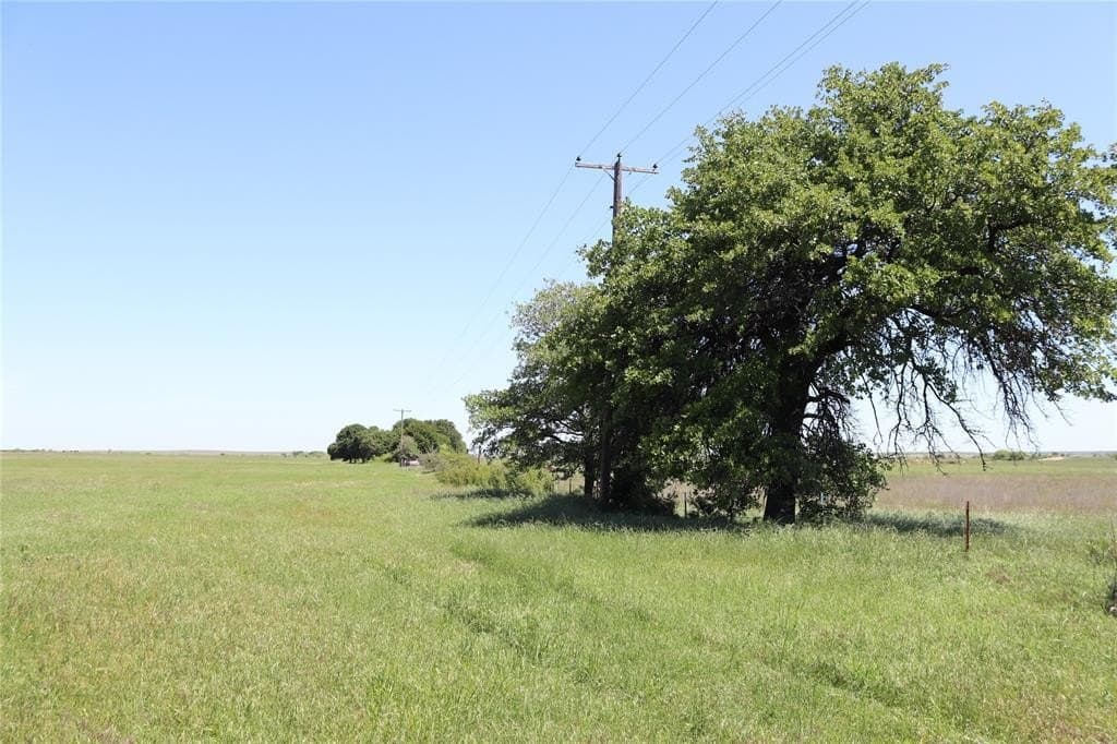 73 acres in Clay County - photo 4
