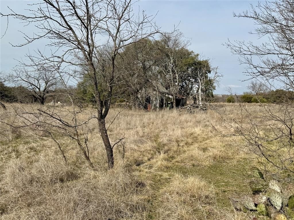 81 acres in Hamilton County - photo 13