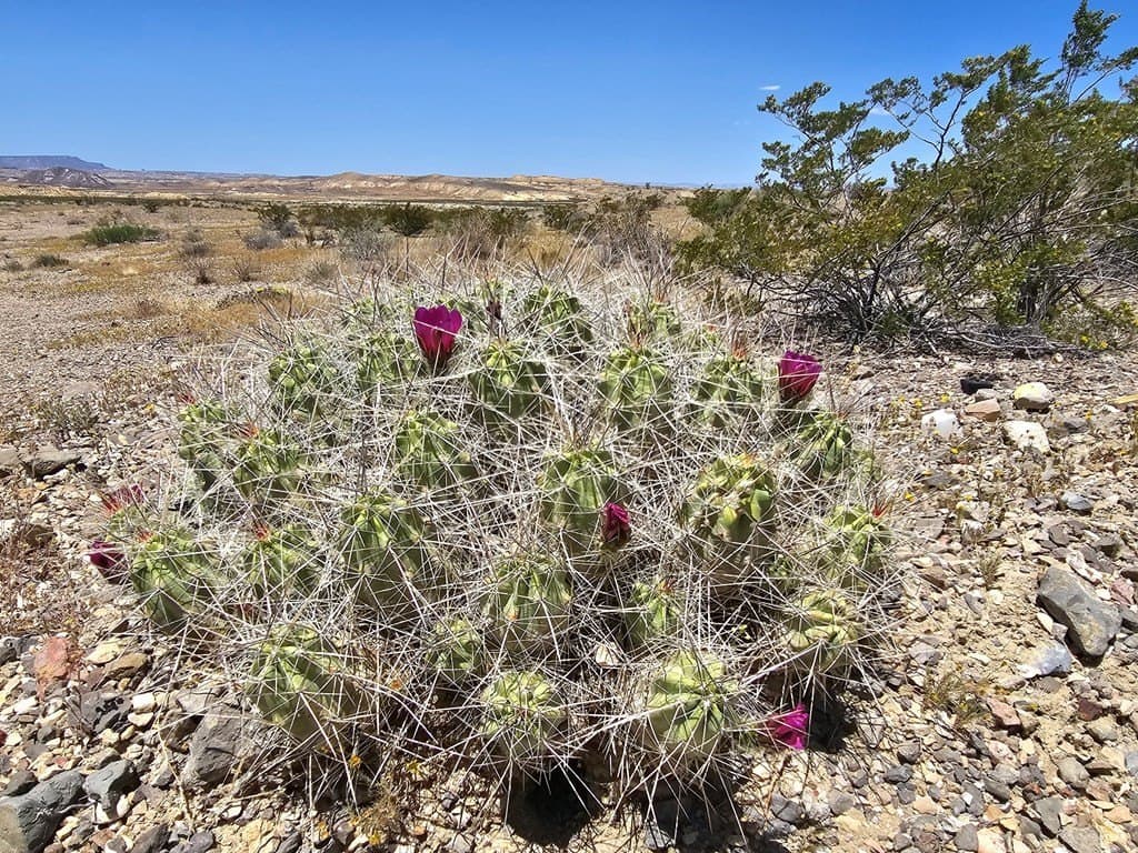 5 acres in Brewster County - photo 16