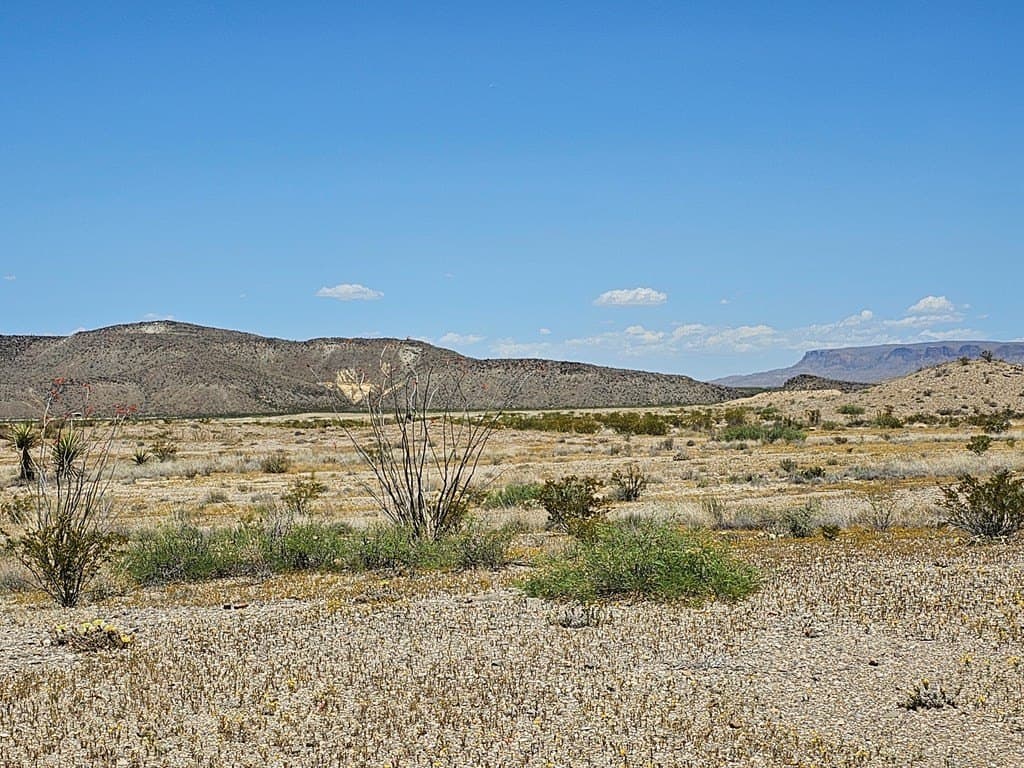 5 acres in Brewster County - photo 14