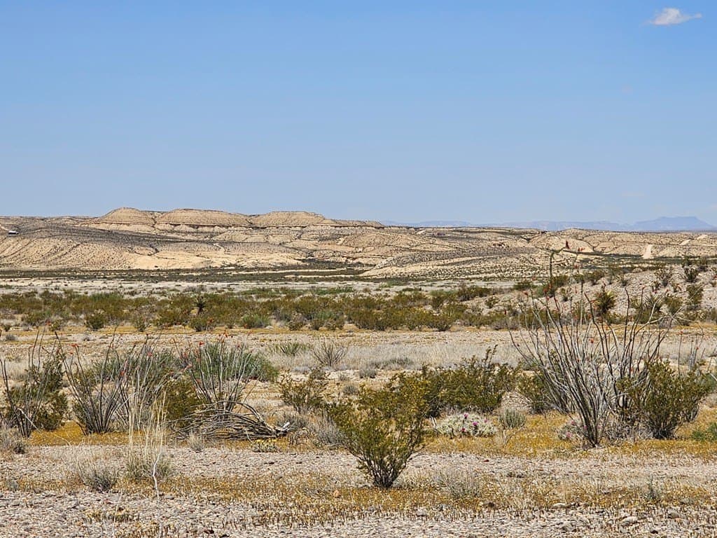 5 acres in Brewster County - photo 11