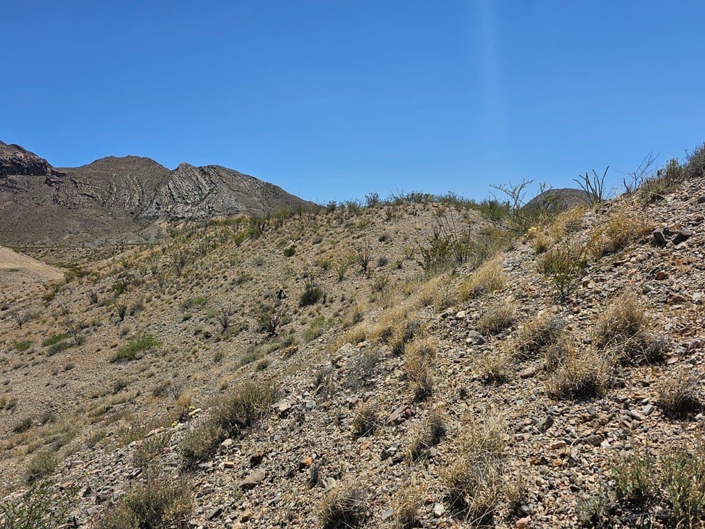 5 acres in Brewster County - photo 8