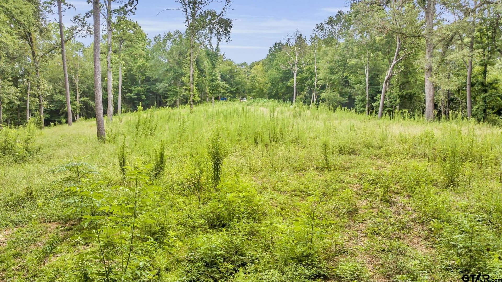 12.24 acres in Cherokee County - photo 5