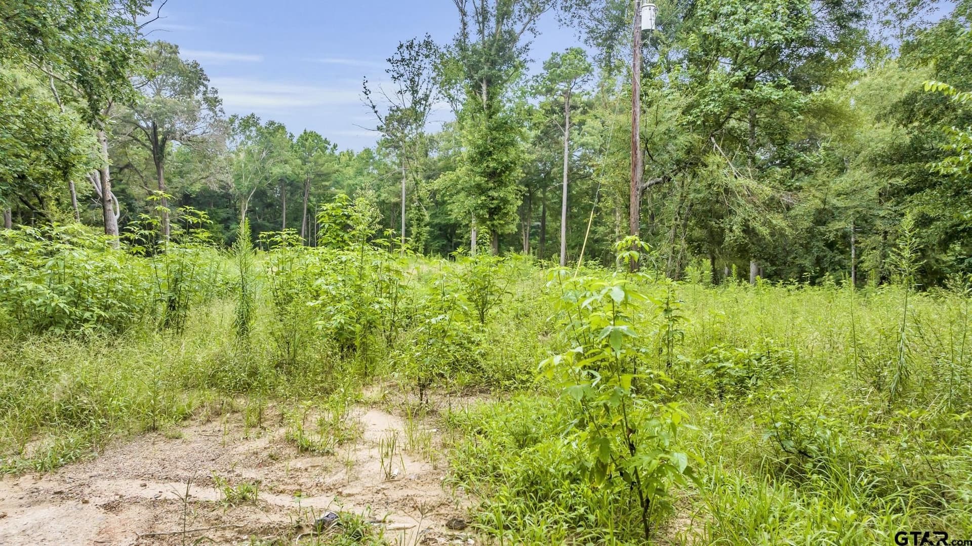12.24 acres in Cherokee County - photo 4