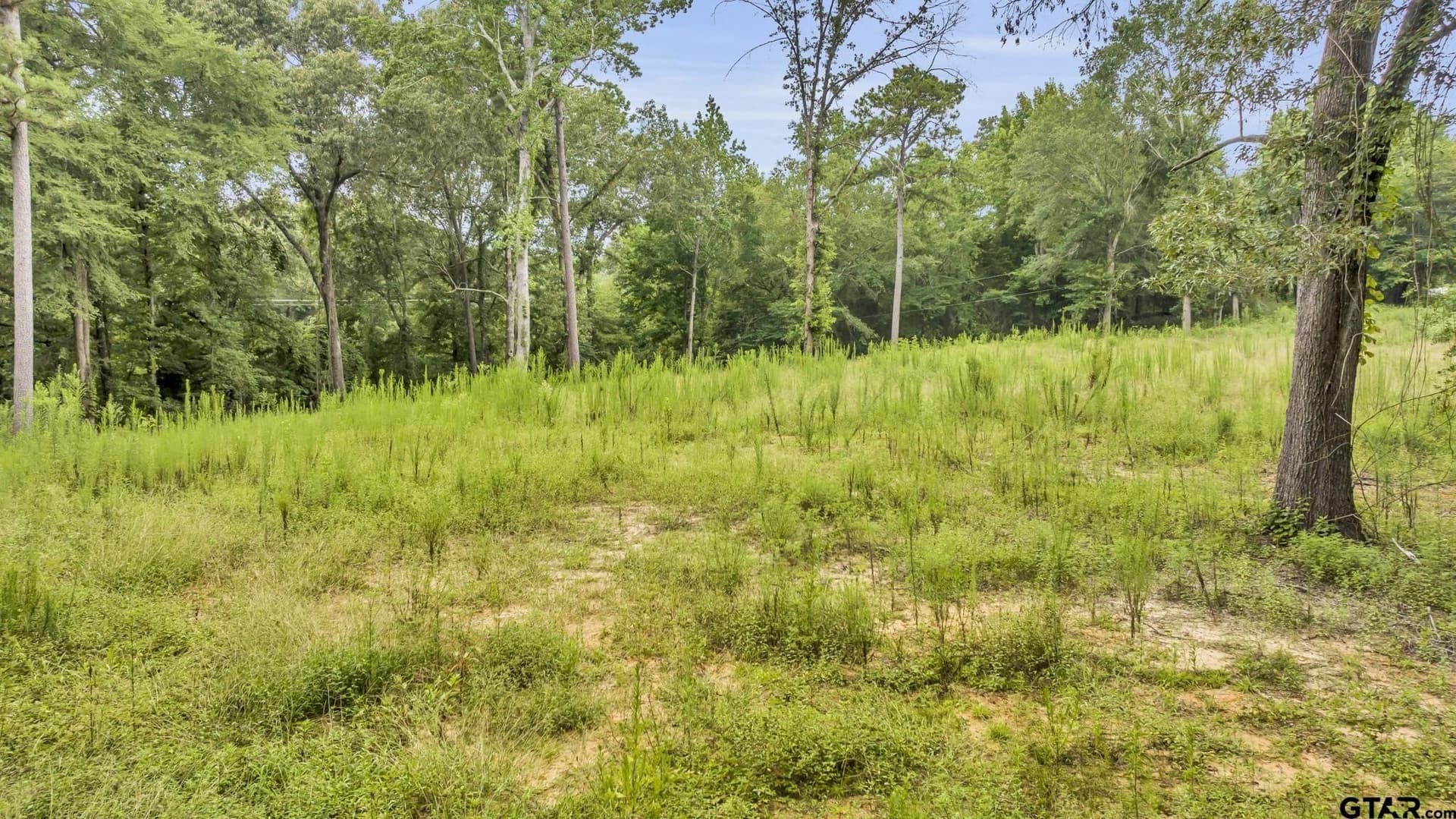 12.24 acres in Cherokee County - photo 6