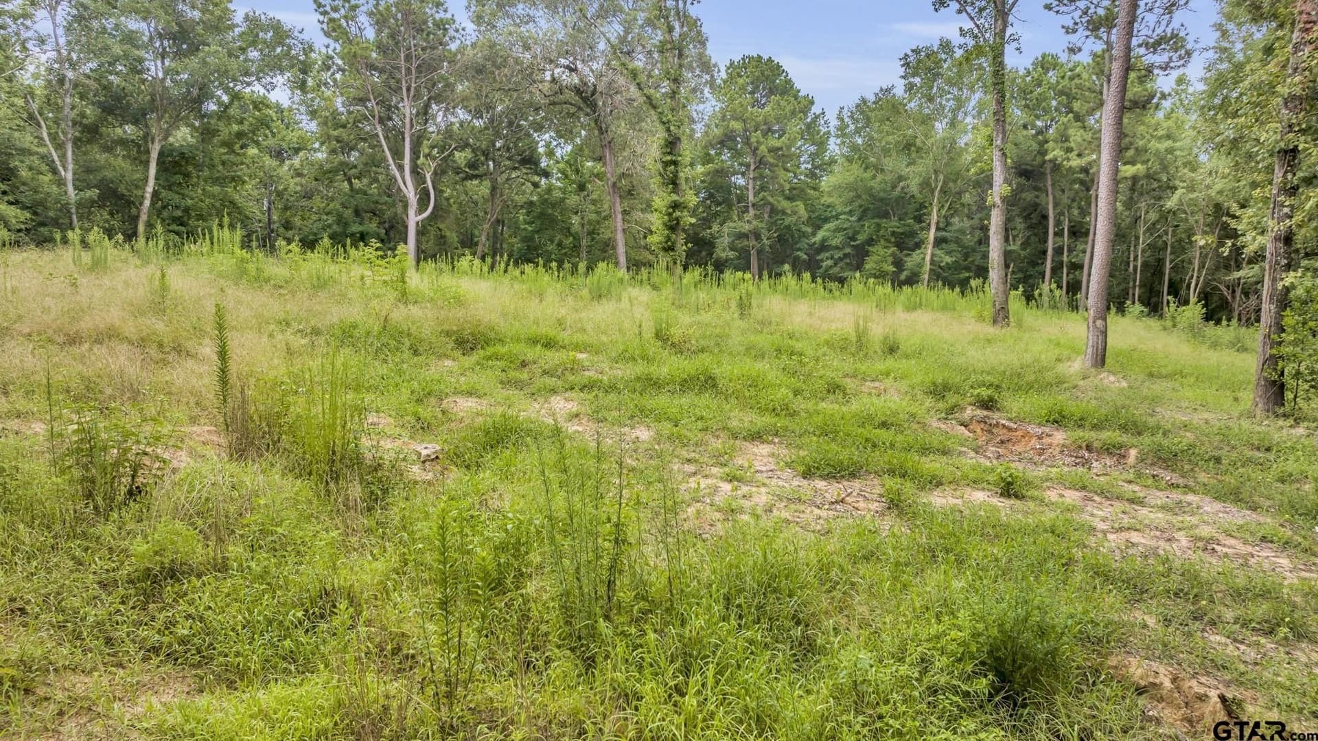12.24 acres in Cherokee County - photo 7