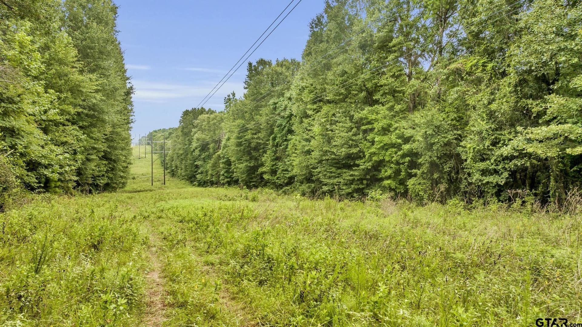12.24 acres in Cherokee County - photo 8