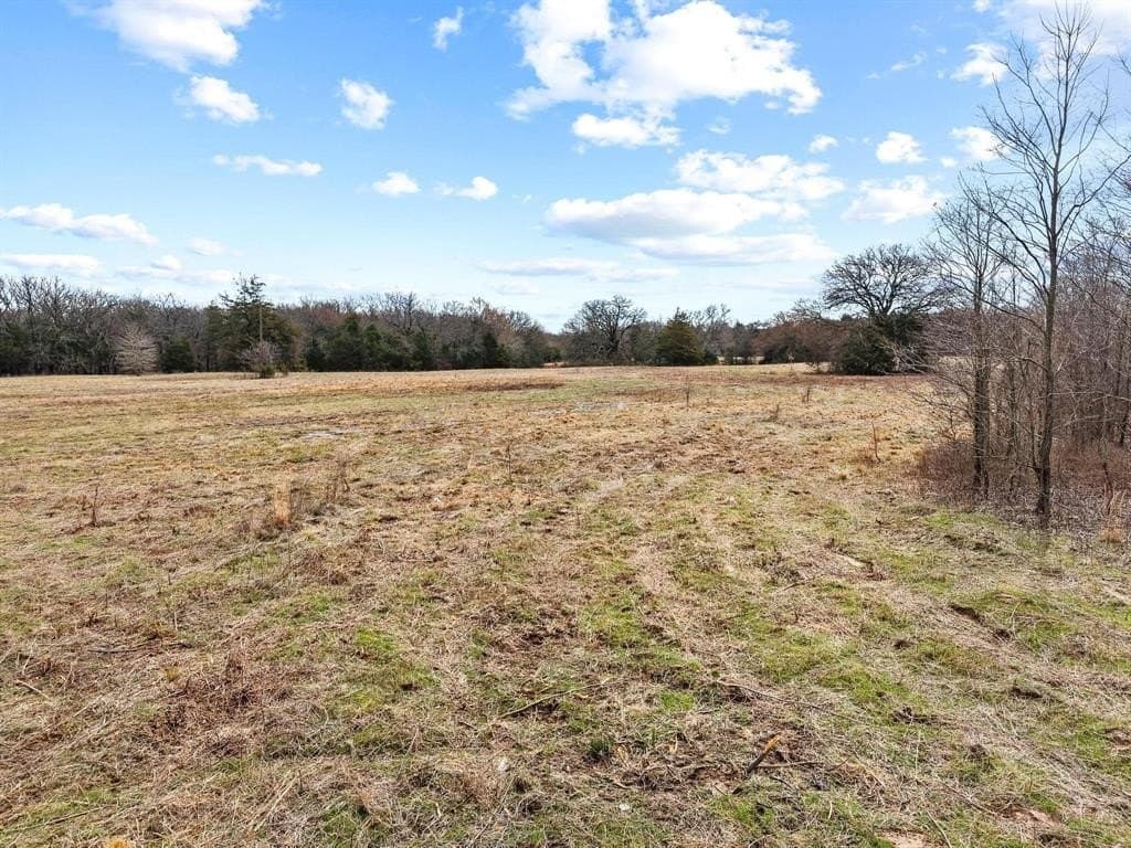 20 acres in Fannin County - photo 28
