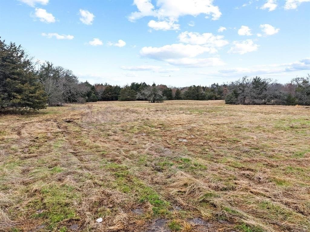 20 acres in Fannin County - photo 27