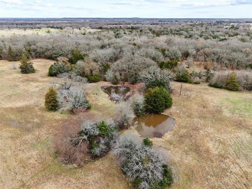 20 acres in Fannin County - photo 22