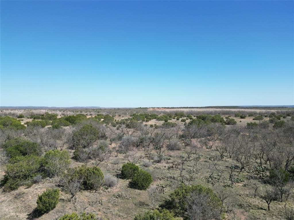 150 acres in Taylor County - photo 6