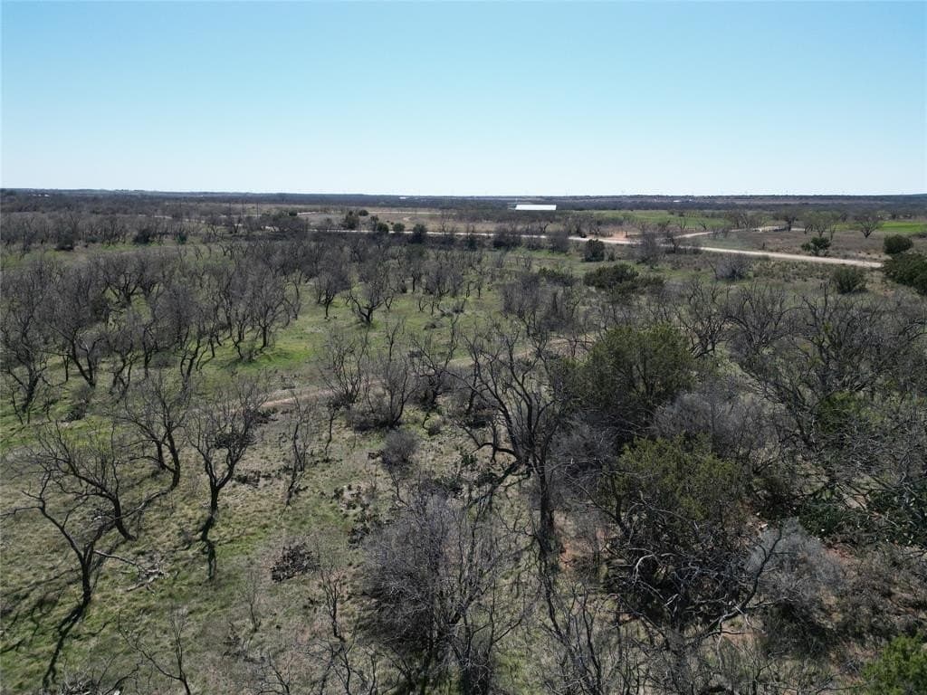 150 acres in Taylor County - photo 9