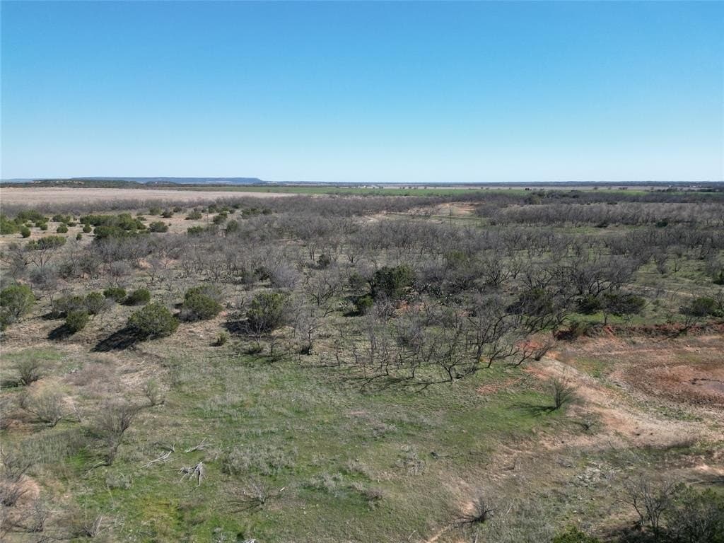 150 acres in Taylor County - photo 23