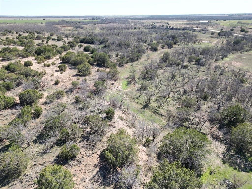 150 acres in Taylor County - photo 22