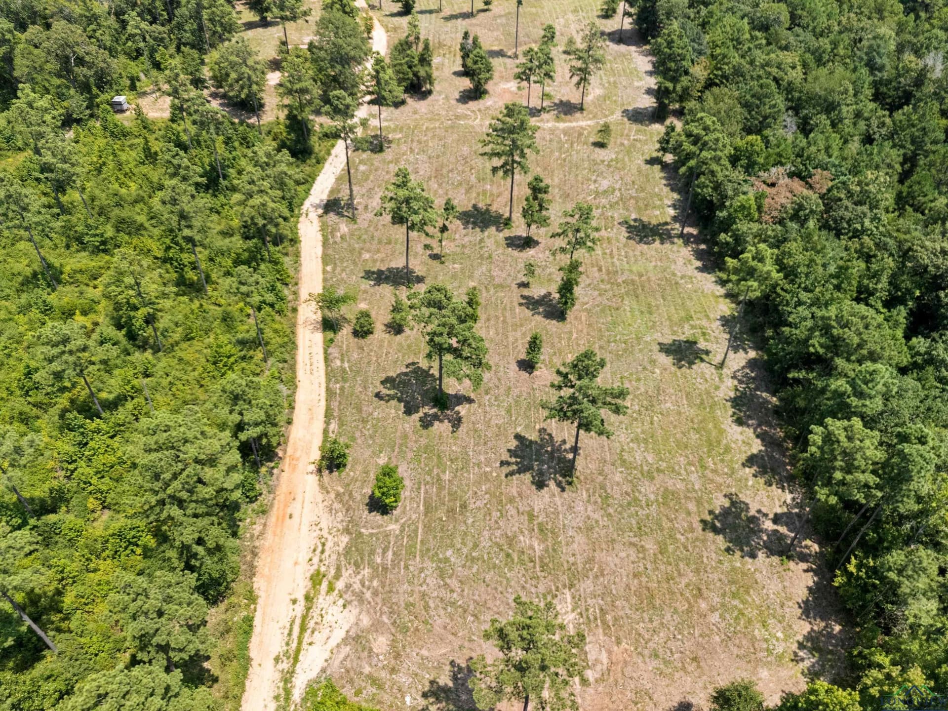 43.58 acres in Rusk County - photo 7
