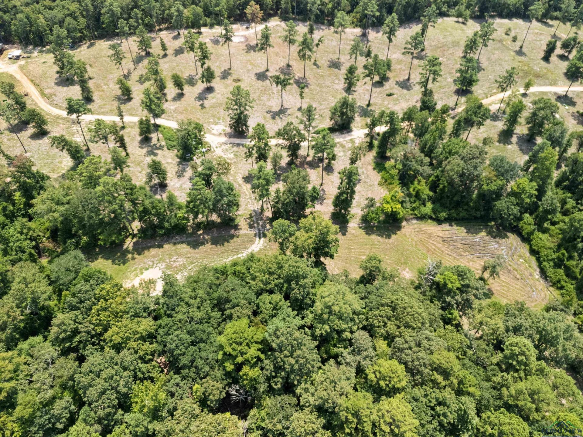 43.58 acres in Rusk County - photo 6