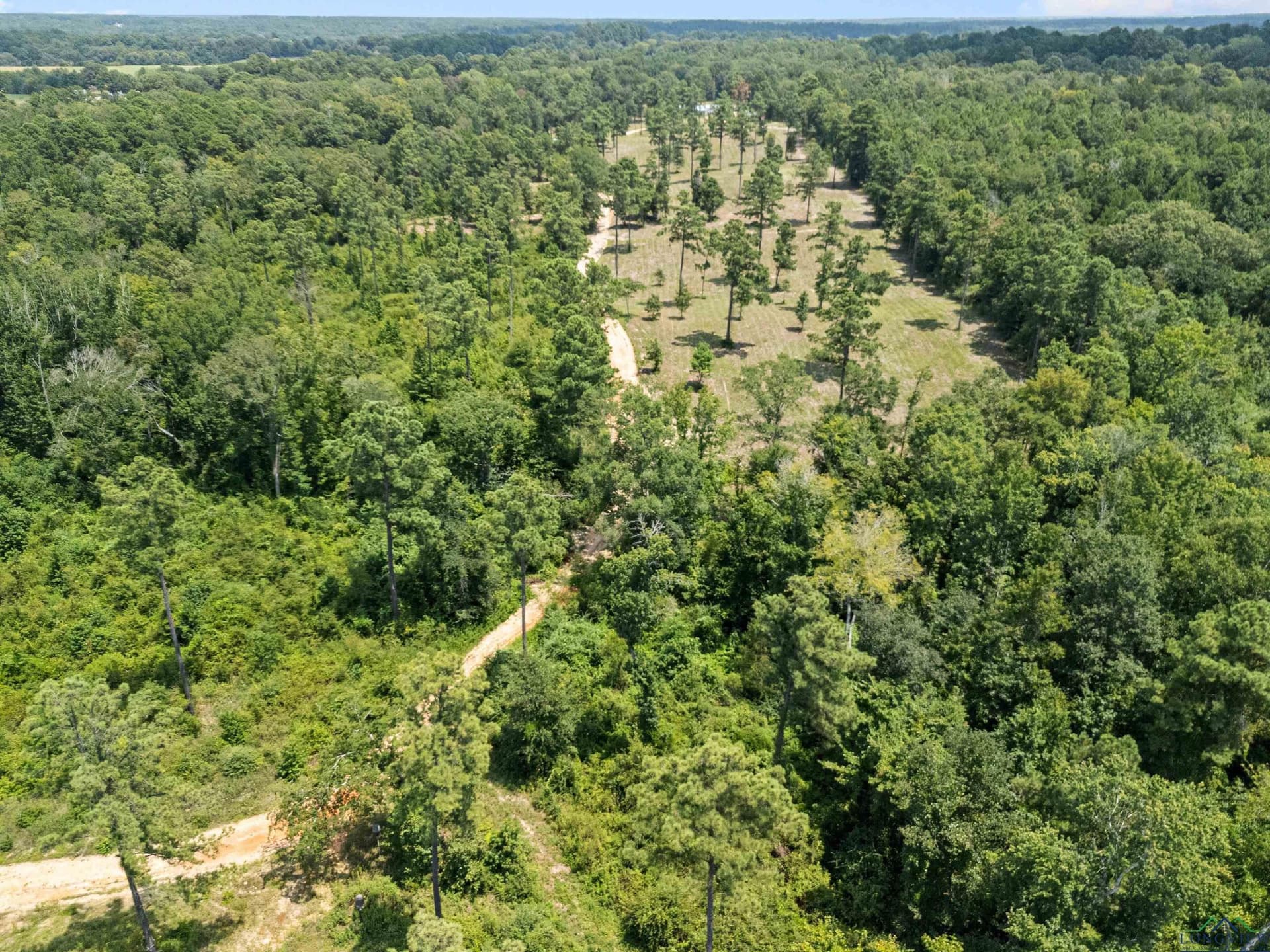 43.58 acres in Rusk County - photo 8