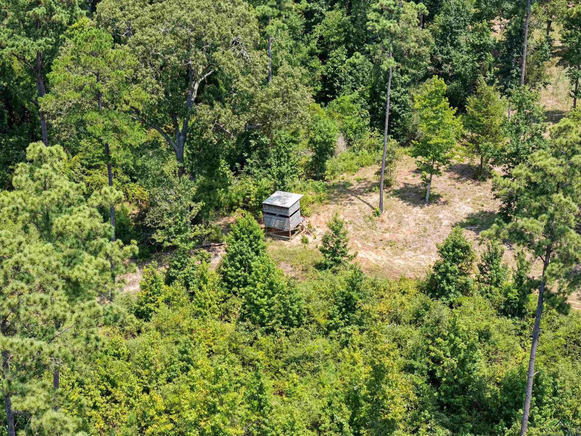 43.58 acres in Rusk County - photo 11