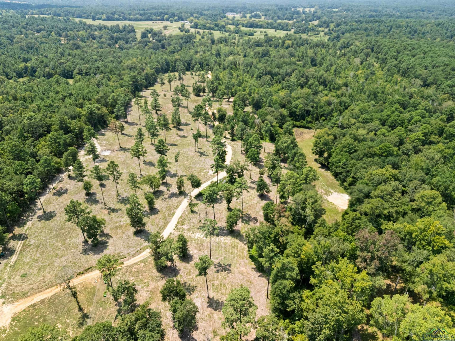 43.58 acres in Rusk County - photo 2
