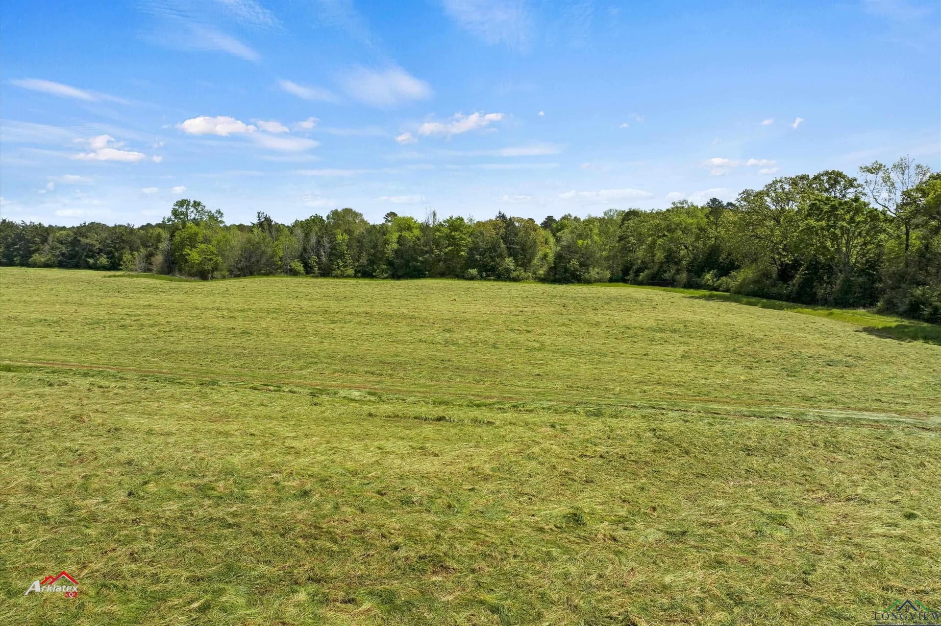 21.49 acres in Panola County - photo 4