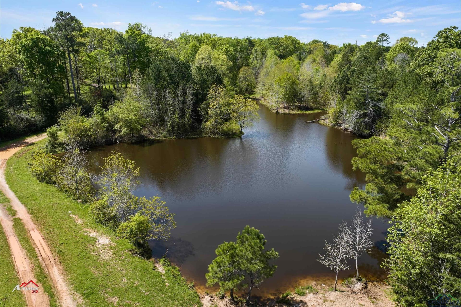 21.49 acres in Panola County - photo 6