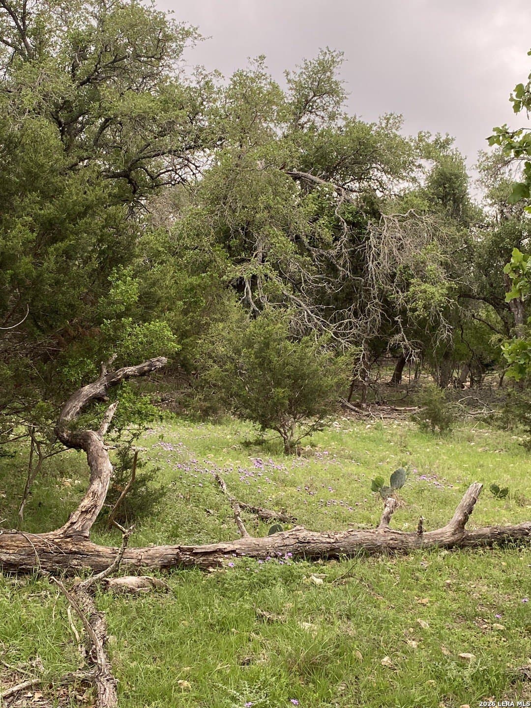 10.78 acres in Kendall County - photo 2
