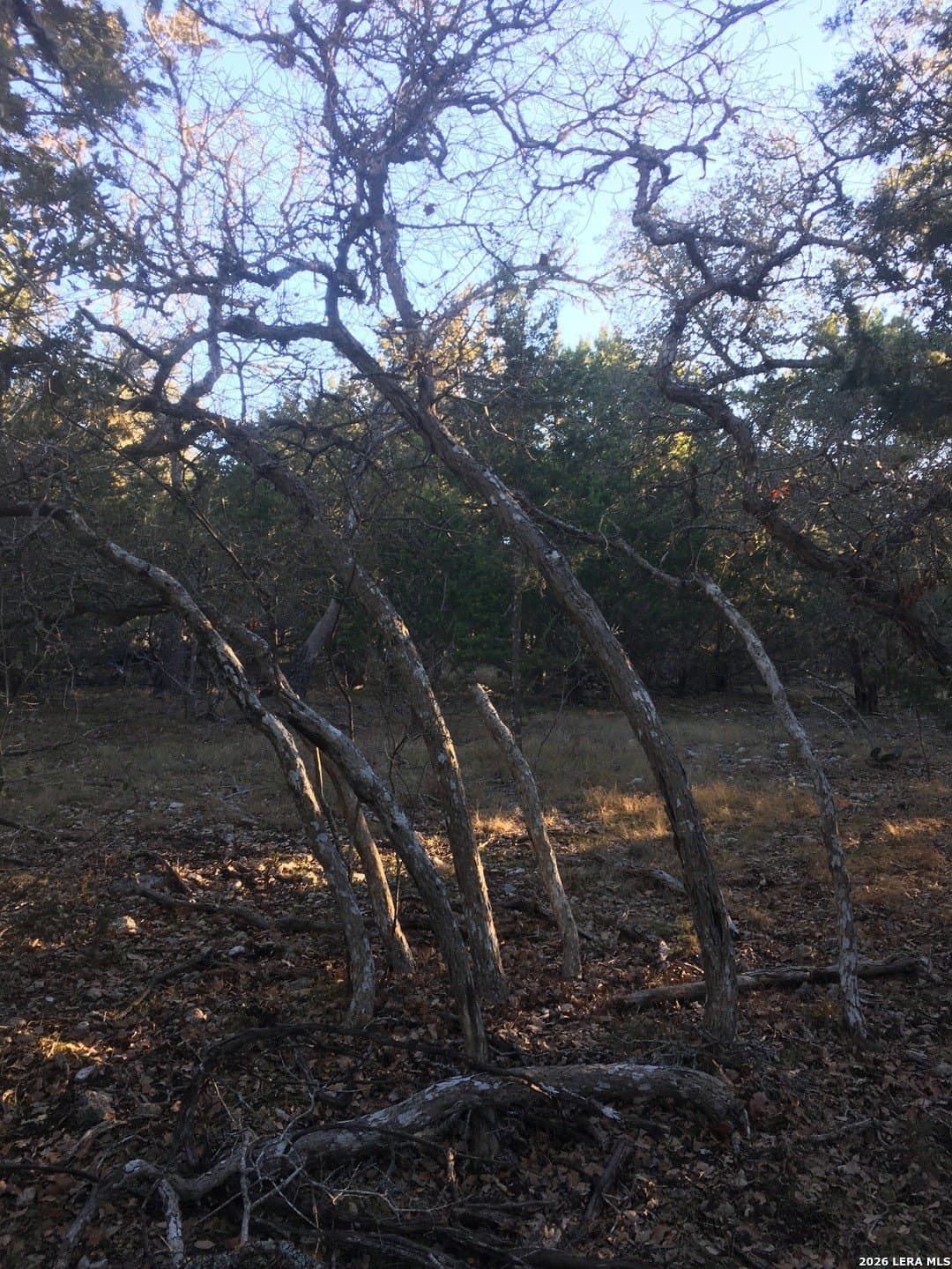 10.78 acres in Kendall County - photo 5