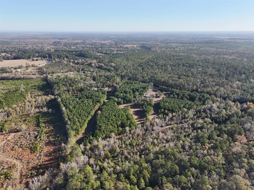 4.68 acres in Polk County - photo 9