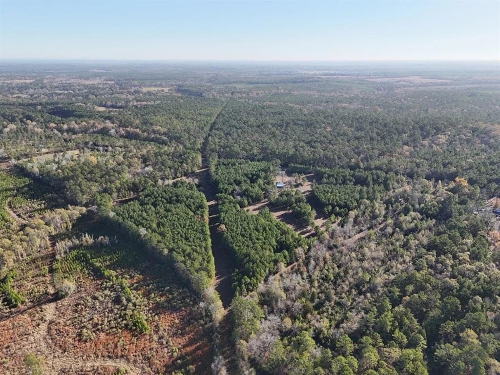 4.68 acres in Polk County - photo 7
