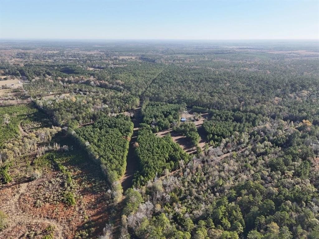 4.68 acres in Polk County - photo 8