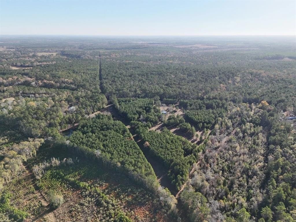 4.68 acres in Polk County - photo 5