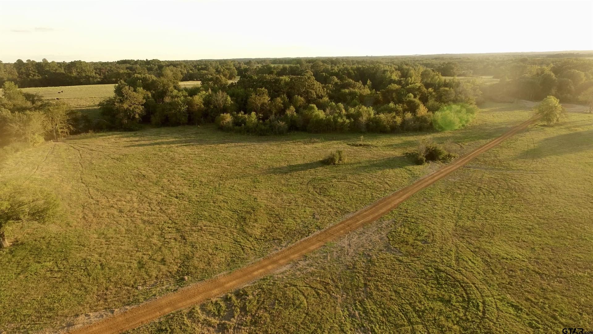 17.73 acres in Titus County - photo 2