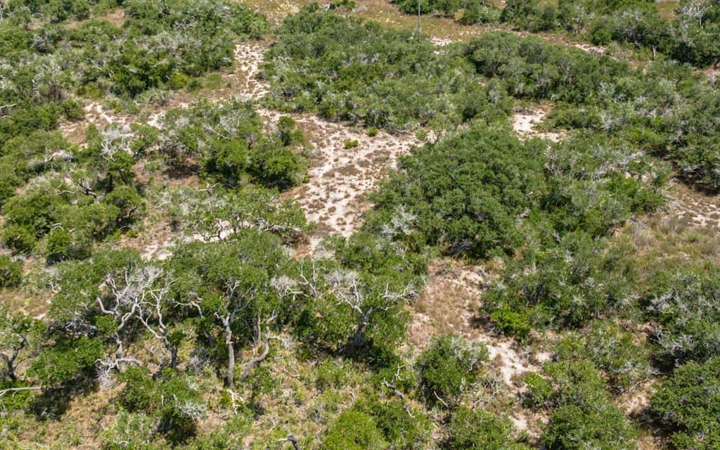 19 acres in Texas County - photo 5