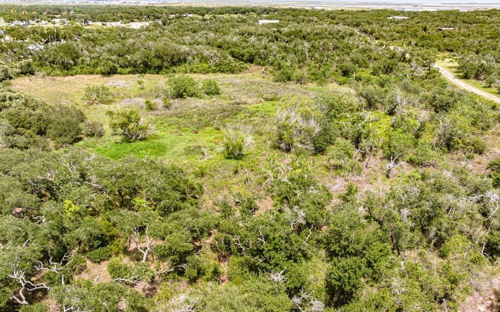 19 acres in Texas County - photo 11