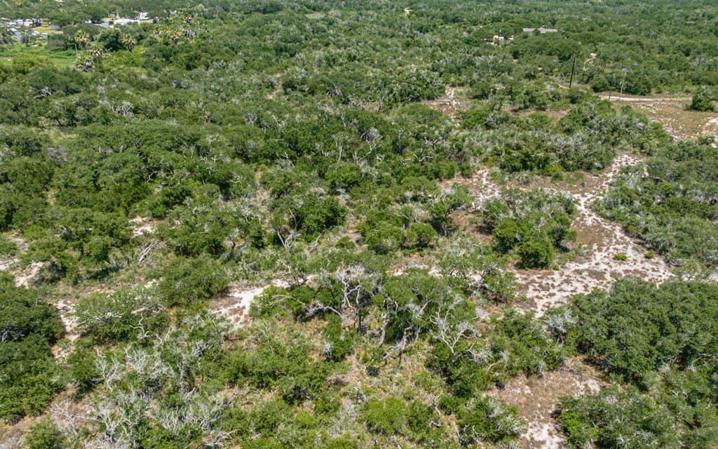 19 acres in Texas County - photo 4