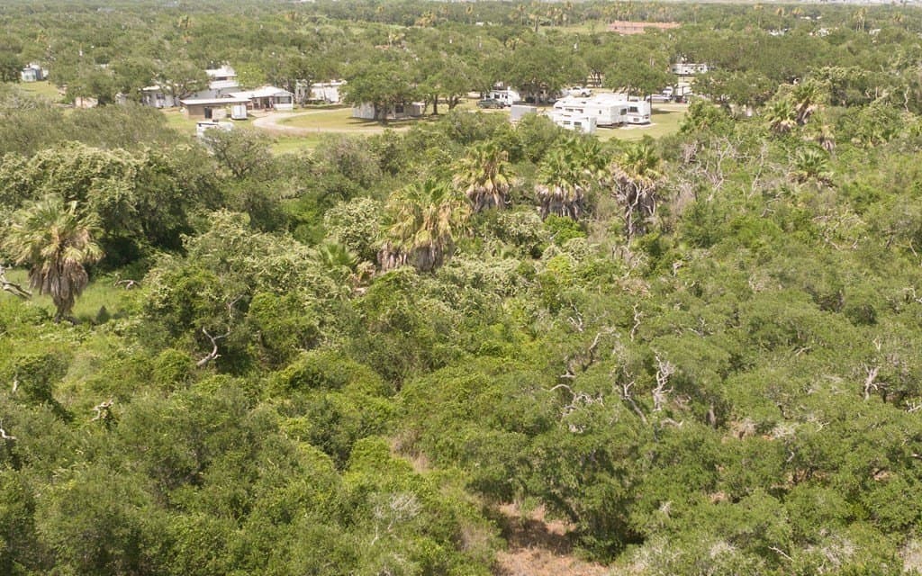 19 acres in Texas County - photo 10