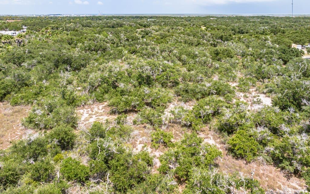 19 acres in Texas County - photo 7