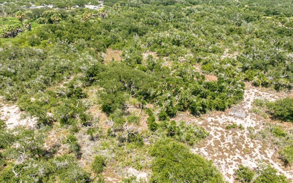 19 acres in Texas County - photo 6