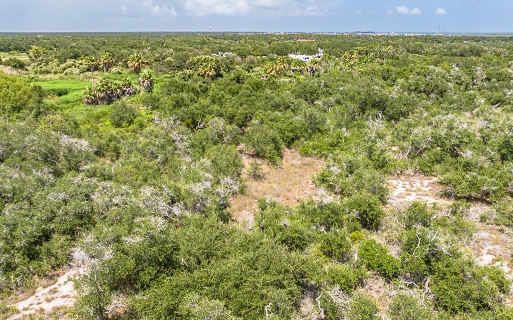 19 acres in Texas County - photo 8