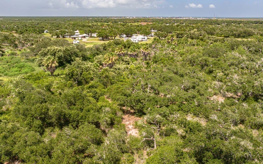 19 acres in Texas County - photo 9