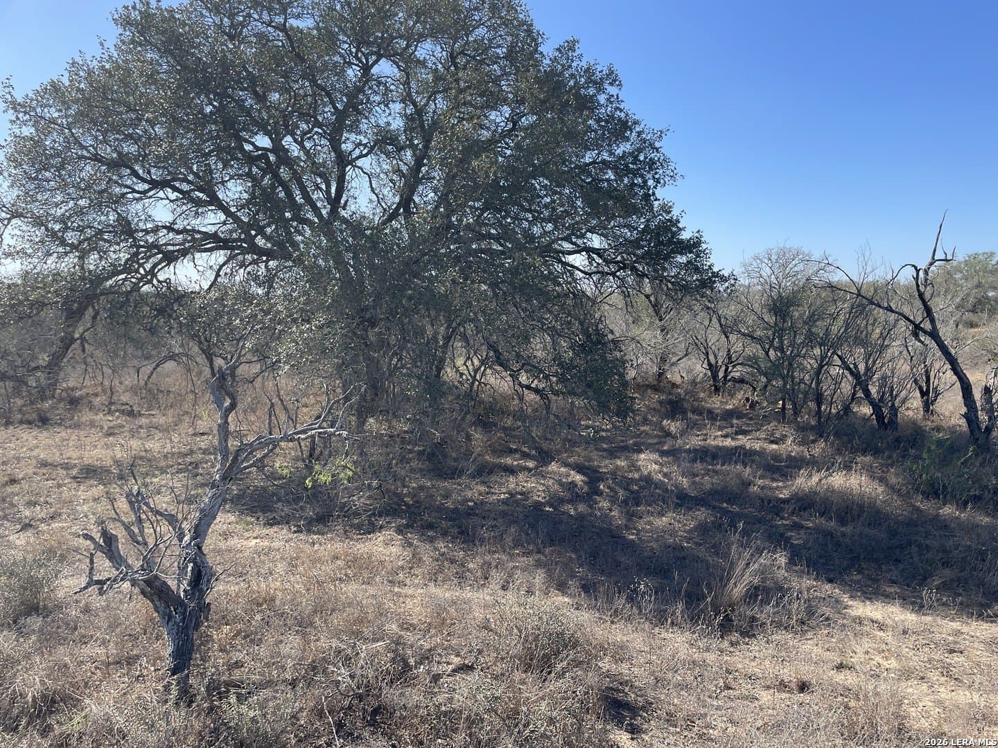 12.31 acres in Medina County - photo 4