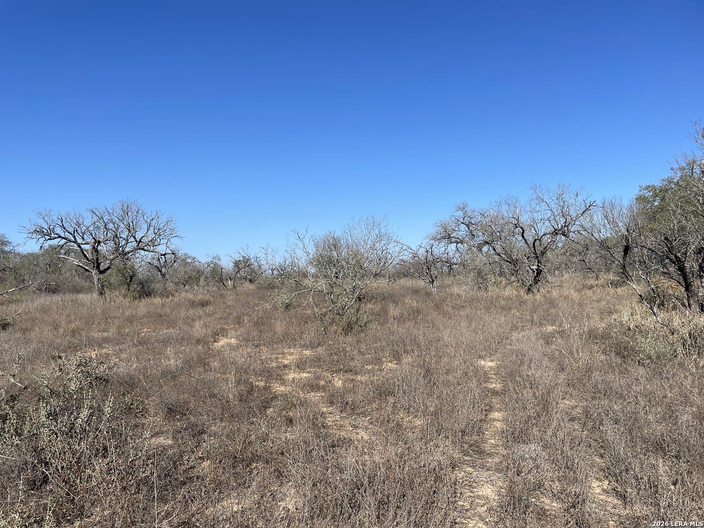 12.31 acres in Medina County - photo 3